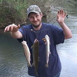 Meet your Posher, Joey